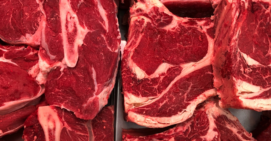 Termina hoje missão técnica do Japão no Sul