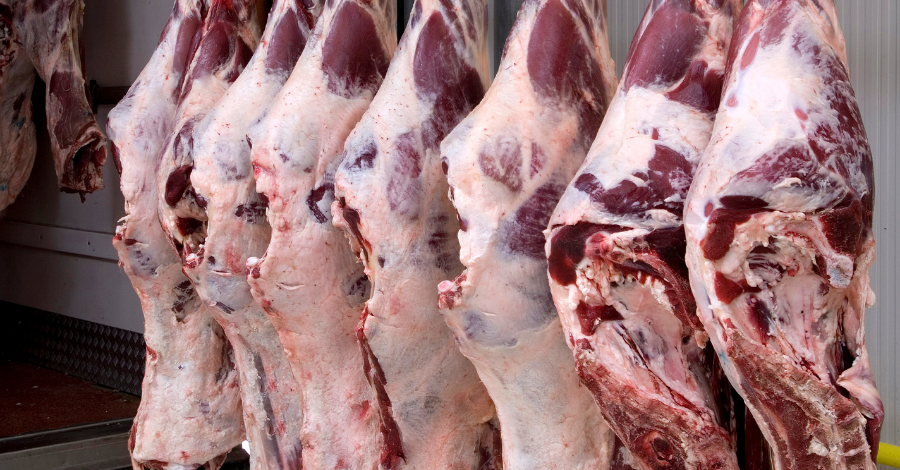 Ministério adotará novo controle para atender exigência da União Europeia nas carnes