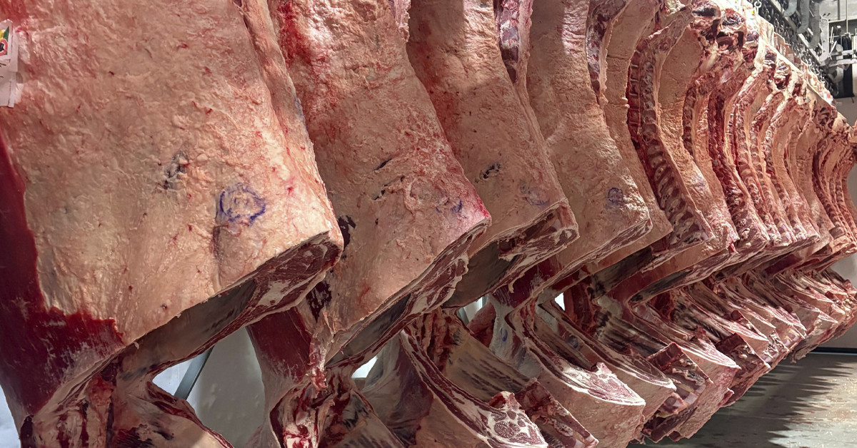 UE passa a barrar produtos de origem animal do Brasil nesta quinta; entenda